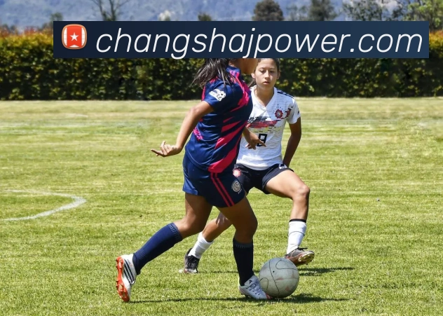 mksports官网登录平台生态图